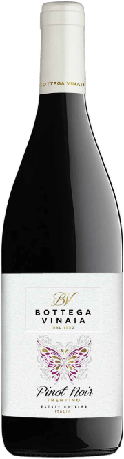 Bottega Vinaia Pinot Noir Bottle